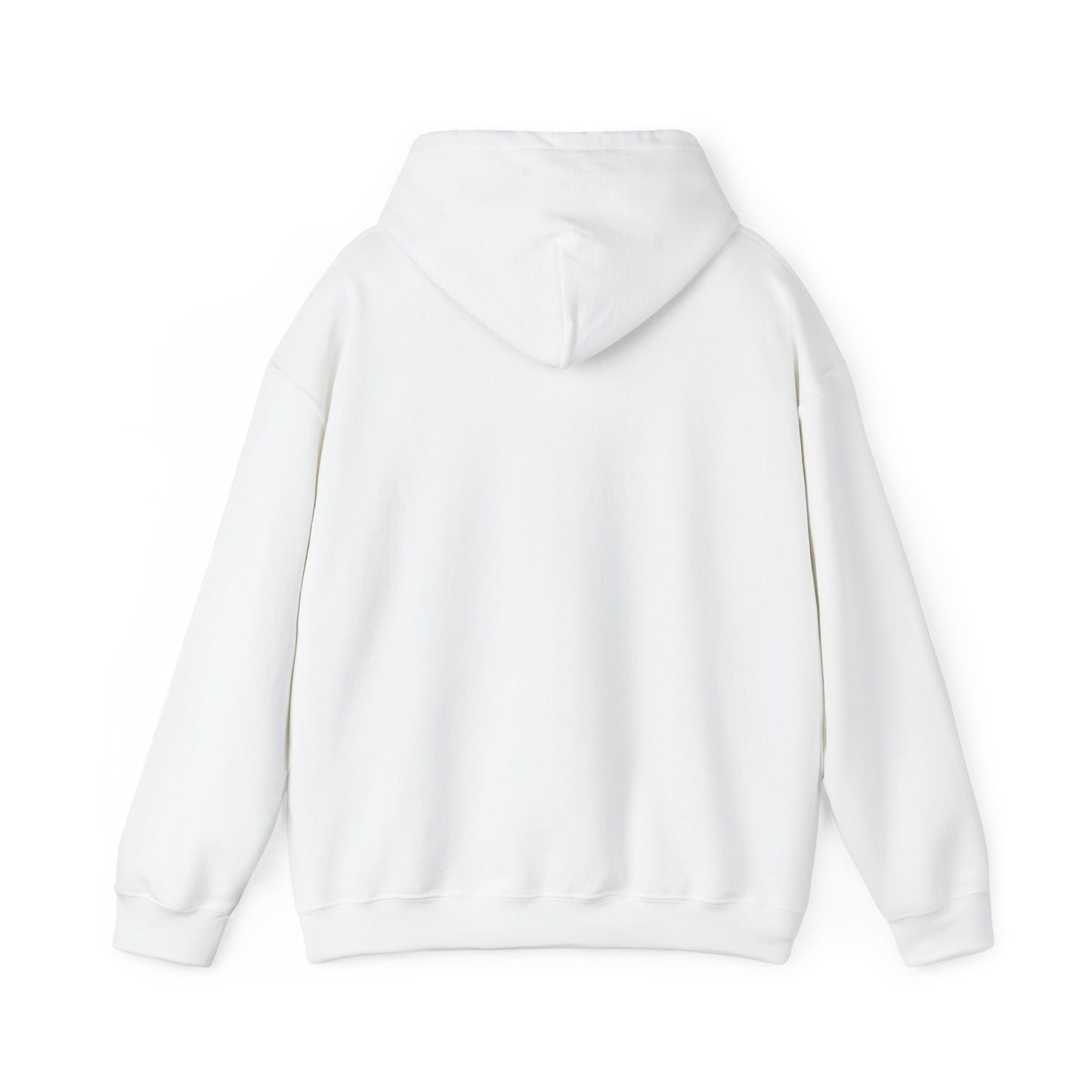 Disco Cat Hoodie