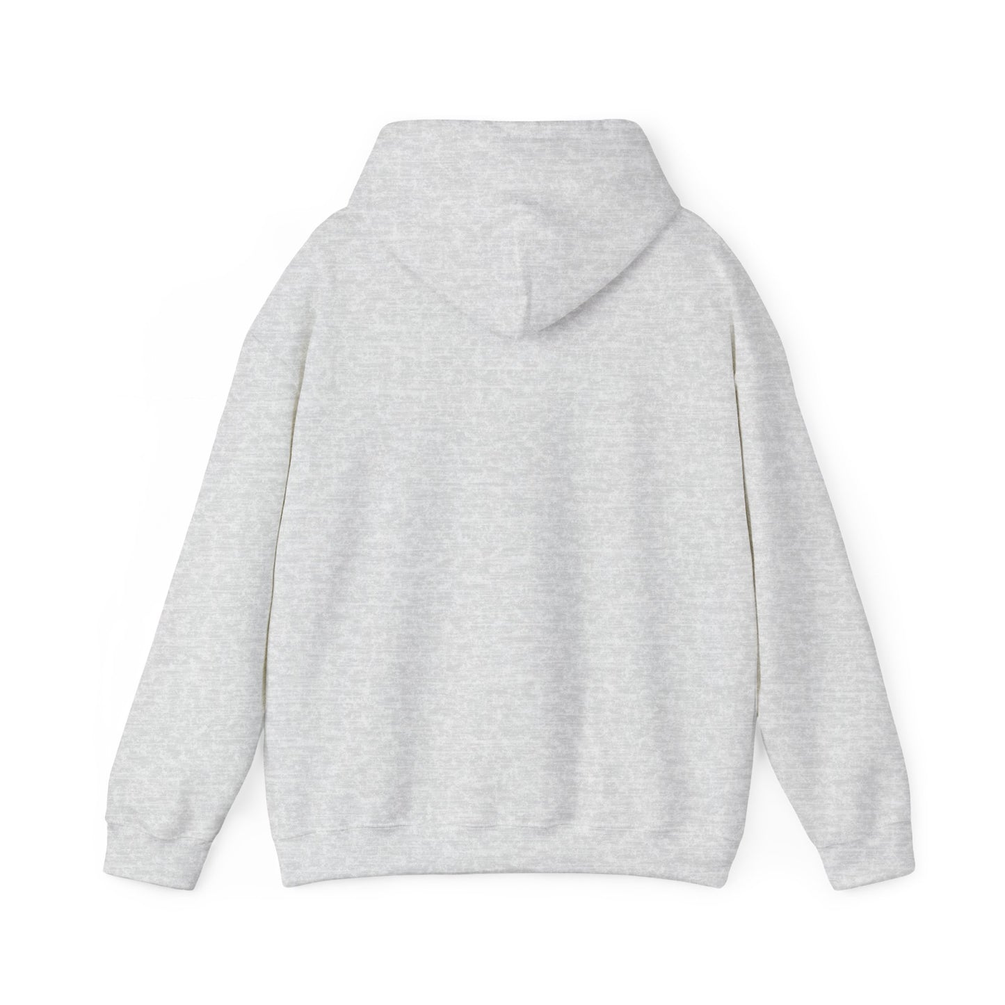 Disco Cat Hoodie