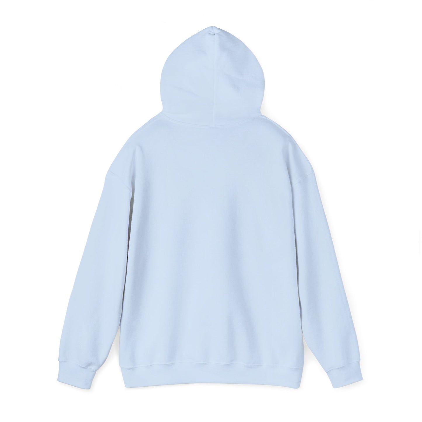 Disco Cat Hoodie