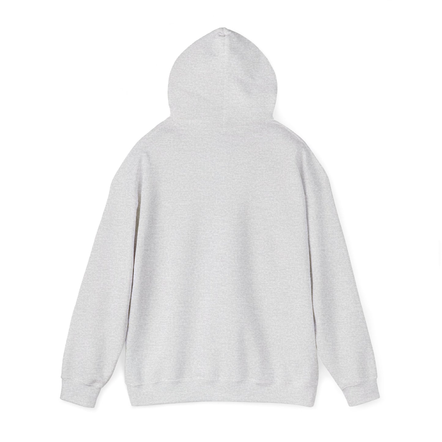 Disco Cat Hoodie