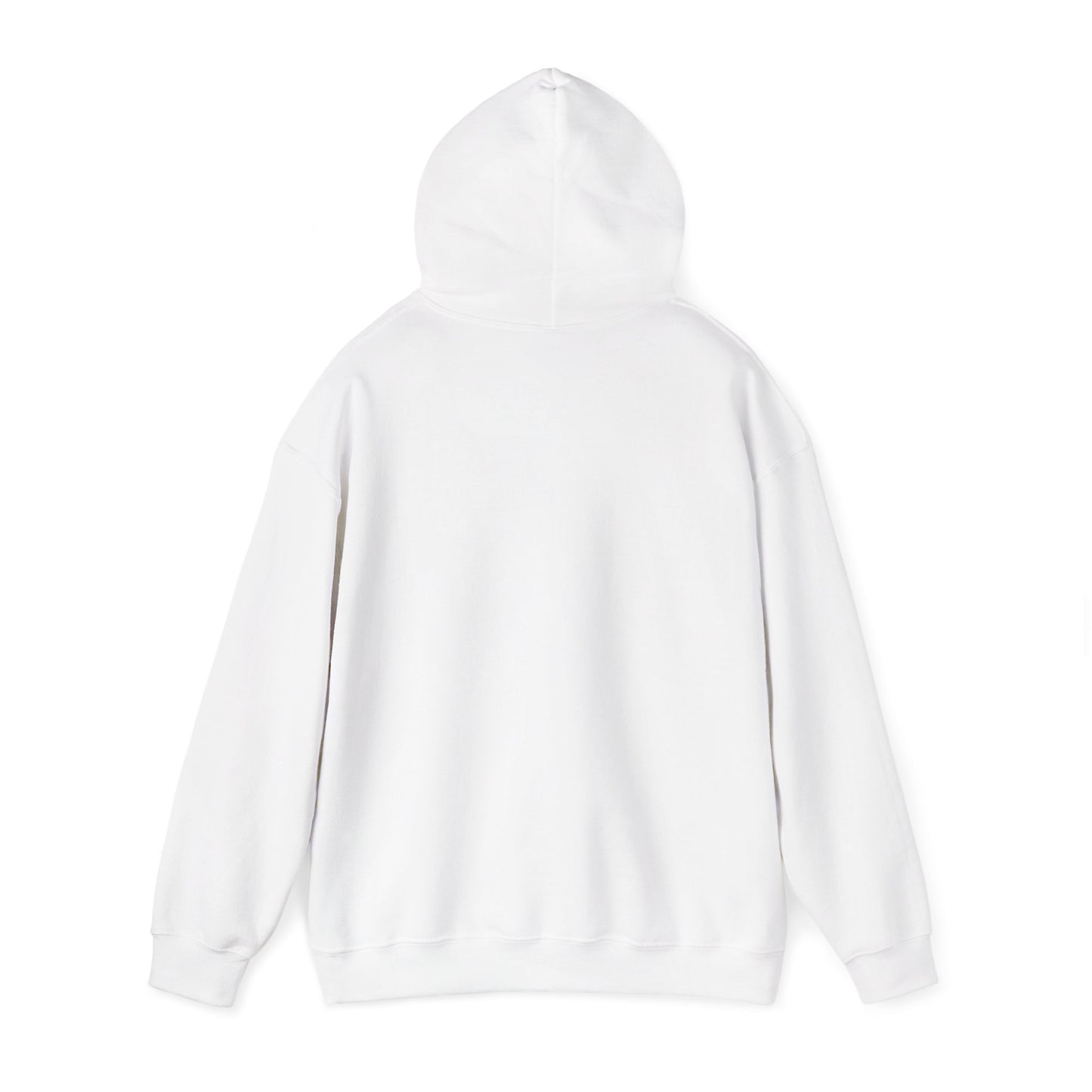 Disco Cat Hoodie